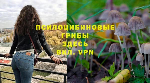 прущая мука Алзамай