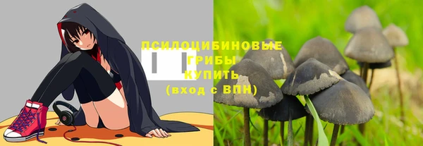 прущая мука Алзамай