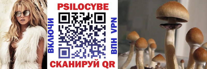 OMG tor  Куровское  Псилоцибиновые грибы Cubensis 